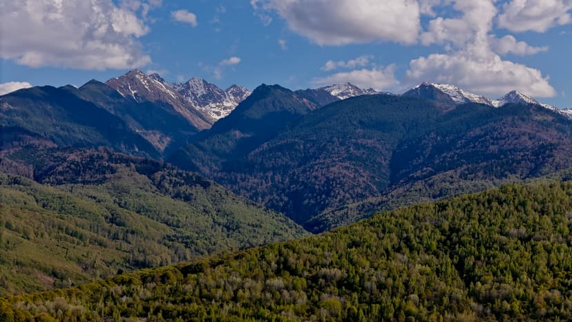 /DJI_20250420172010_0085_D.jpg